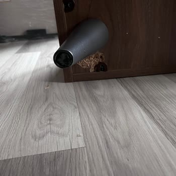 Alfemo Samsun Neta Home / İlgisizlik Ve Ürünlerine Sahip Çıkmama