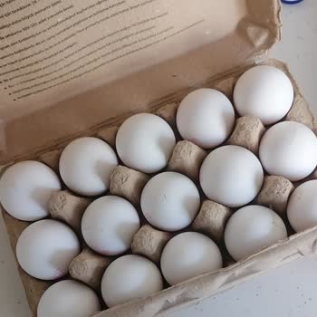 Getir Büyük Uygulaması Eski Tarihli Gelen Yumurta