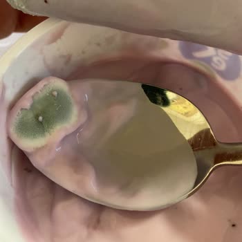 Tüketim Tarihi Geçmeyen Ürün Küflü Sek Quark