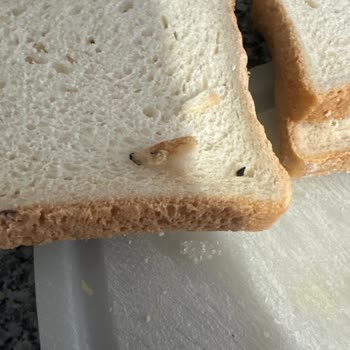 BİM Tost Ekmeğinde Fare Pislikleri