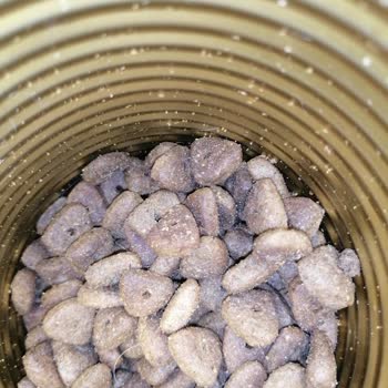 BonaCibo Kuzu Etli Kötü Çok Kötü