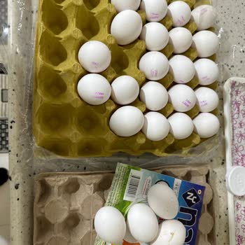 Nazoo Yumurta Çok Hafif Ve Bandolu Yok