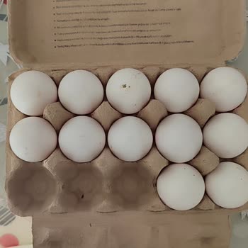 Migros'tan Aldığım Yumurta Patladı