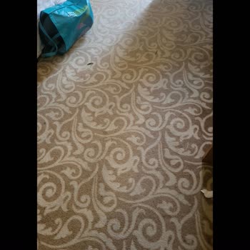 MC Mahberi Beach Hotel Çok Pis Bir Otel