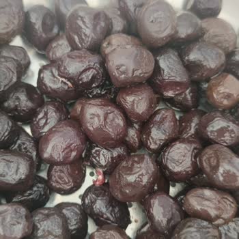 MarmaraBirlik Zeytininde İçinde Beyaz Salya Çıktı