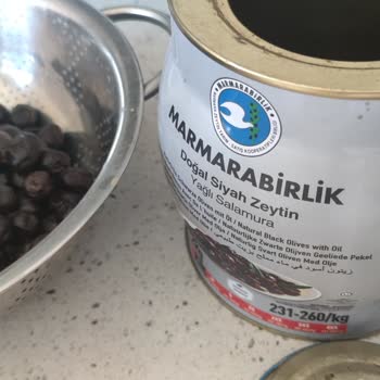 MarmaraBirlik Zeytininde İçinde Beyaz Salya Çıktı