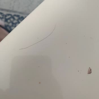 Dr. Oetker Pizzadan Kıl Çıktı