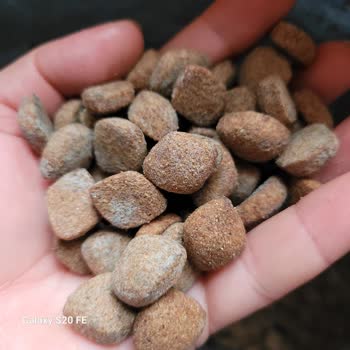 Cango Mama Bozuk Ürün Satılıyor