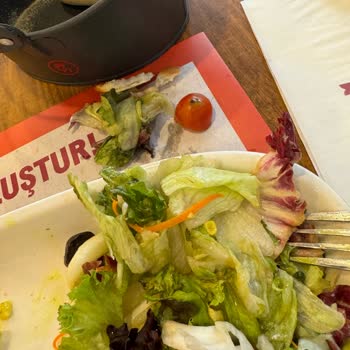 Neomarin Tavuk Dünyası'nda Kötü Deneyim