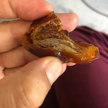 Tuğba Kuruyemiş Hurmanın Kurtlu Olması