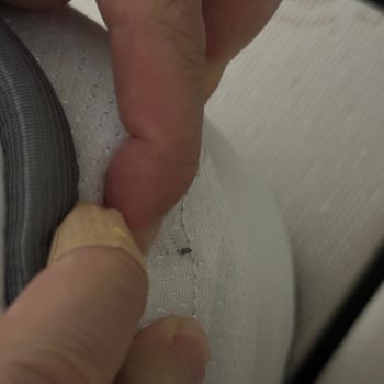 Bellona Caprice Yatak Sivri Tel Çıkması