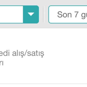 Garanti Bankası Hisse Hesabından Bankanın Para Çekmesi