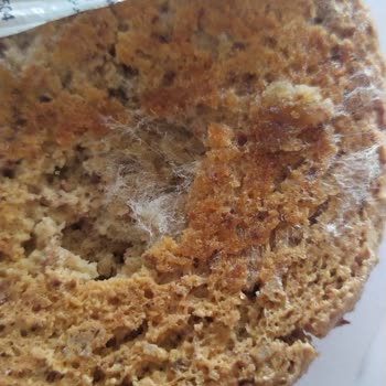 Birtat Şekerleme Birtat Markasının Küflenmiş Gıdaları