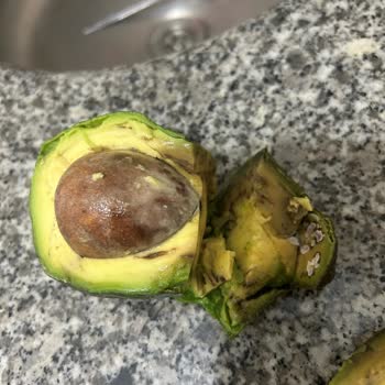Macro Center Bozuk Avokado Satması