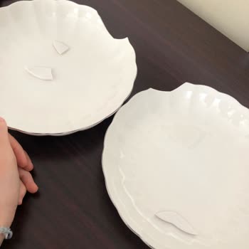 Kütahya Porselen Kırık Tabak Temin Sorunu