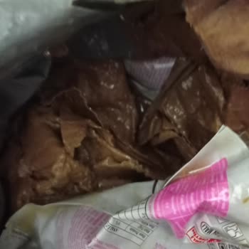 Hepsiburada Sitesinden Yaş Kedi Maması Alışveriş