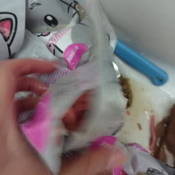 Hepsiburada Sitesinden Yaş Kedi Maması Alışveriş