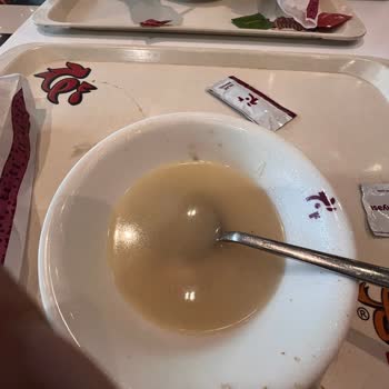 Tavuk Dünyası Kirli Tepsi Ve Geç Gelmesi