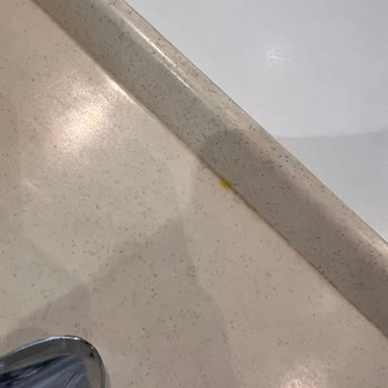 Tavuk Dünyası Kirli Tepsi Ve Geç Gelmesi