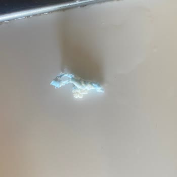 Tahsildaroğlu Sürülebilir Lor Peynirinden Yabancı Madde Çıktı