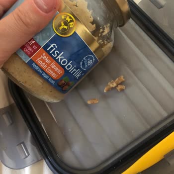 Fiskobirlik Yiyecek İçinde Bilinmeyen Cisim