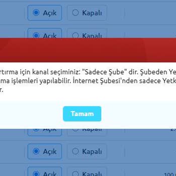 Yapı Kredi Bankası EFT Havale Limit Yükseltme Sorunu