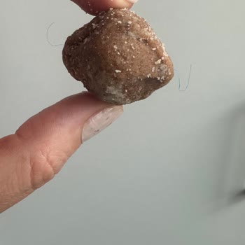 Züber Lokmadan Plastik Çıktı