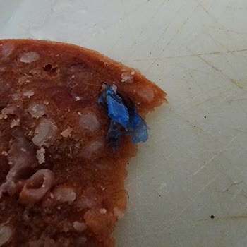 A101 Baştacı Marka Sucuk İçerisinden Eldiven Parçası Cıktı!