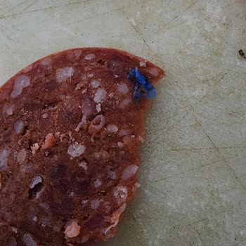 A101 Baştacı Marka Sucuk İçerisinden Eldiven Parçası Cıktı!