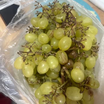 Migros Sanal Marketin Sorumluluk Kabul Etmemesi, Personel İşbilmezliği