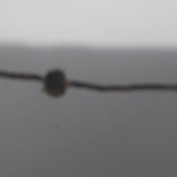 Morpanya Kırık Ürün Ve Hayal Kırıklığı