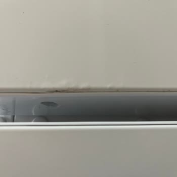 Bosch Buzdolabı Kapağı Paslanması