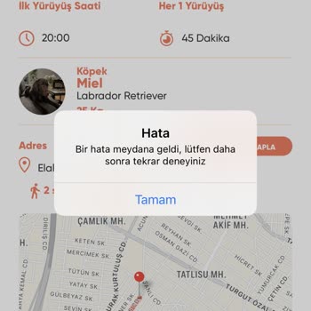 Doggo Walker Yürüyüş Hatası