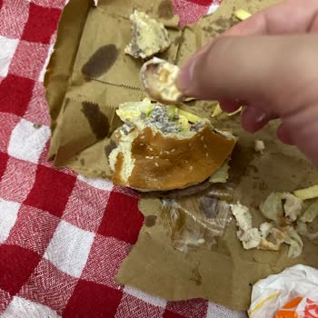 Burger King Hamburgerden Salyangoz Çıktı