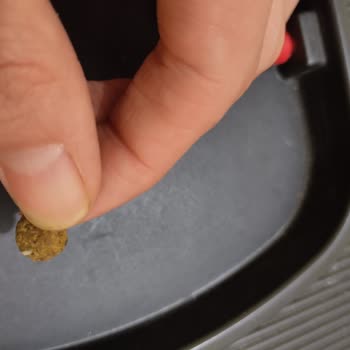 Farmina Nd Kedi Mamasının İçinden Balık Kılçığı Çıkması?!