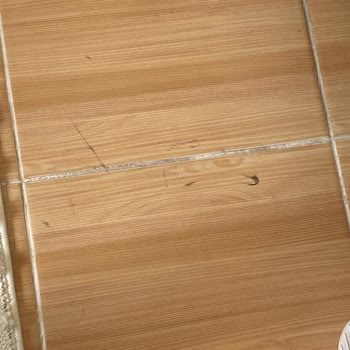 Philips Homerun 7000 Kısa Sürede Bozuldu