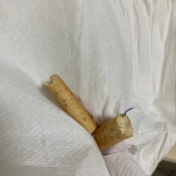 Ülker Altınbaşak Grissini İçinden Mavi İp Çıktı