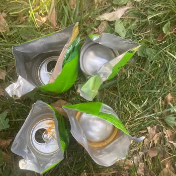 Fuse Tea Mangolu İçeceğin İçinden Çıkanlar!