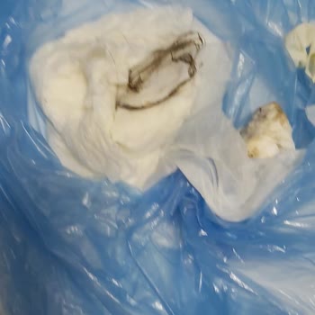 Ayancık Öğretmenevi'nin Bakımsızlığı ve Kirliliği