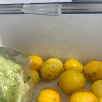 Bosch Buzdolabında Yoğurt Muhafaza Edemiyorum!