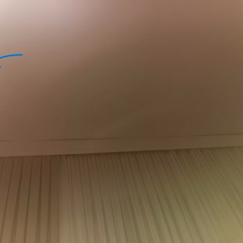 Tecno Mobile İkinci Kez Satın Aldığım Camon 19 Pro'nun Kamerasındaki Siyah Leke