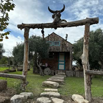 Airbnb Urla İzmir Orman Evleri Mağduriyeti