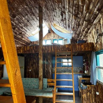 Airbnb Urla İzmir Orman Evleri Mağduriyeti