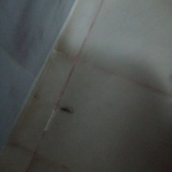 Ilgın Belediyesi Sorumsuzluk Ve Hijyen