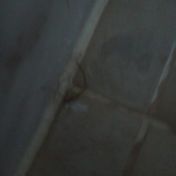 Ilgın Belediyesi Sorumsuzluk Ve Hijyen