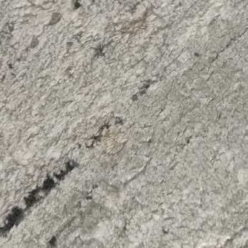 Adana Duru Halı Yıkama Şikayet Edilince Arayıp Hakaret Ediyor