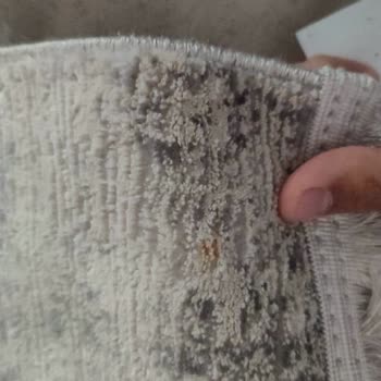 Adana Duru Halı Yıkama Şikayet Edilince Arayıp Hakaret Ediyor