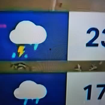 Philips TV İçine Giren Ve Ölmüş Sinek Ekranda Duruyor