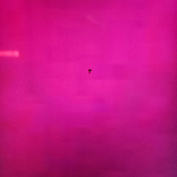 Philips TV İçine Giren Ve Ölmüş Sinek Ekranda Duruyor