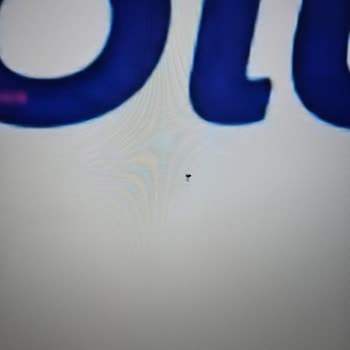 Philips TV İçine Giren Ve Ölmüş Sinek Ekranda Duruyor